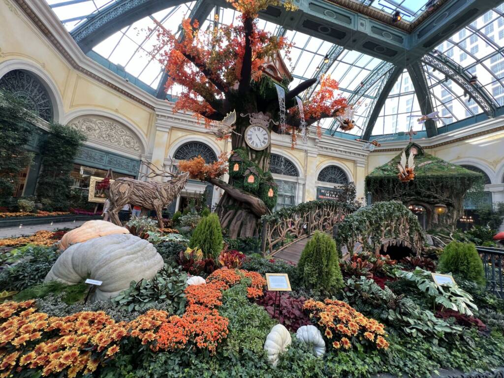 Bellagio Fall Flower Display Pumpkin - Oct 2024